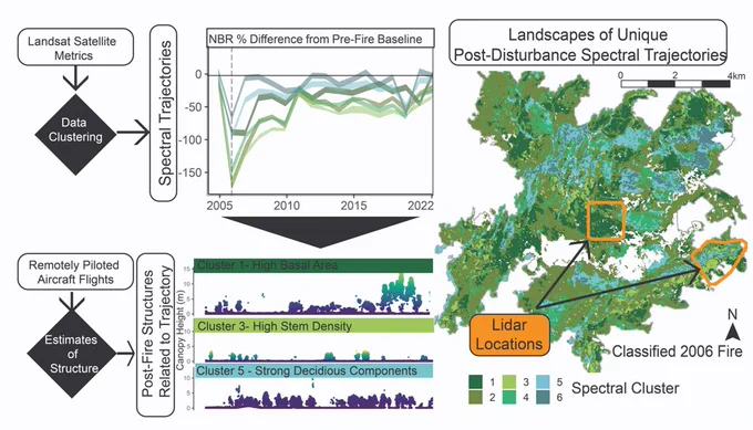 Graphical abstract by Smith-Tripp et al 2024