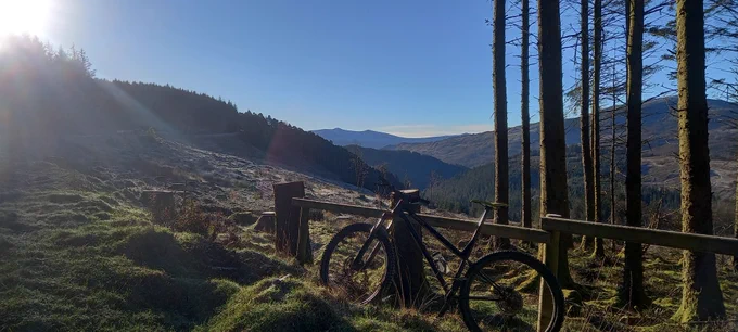 Coed y Brenin