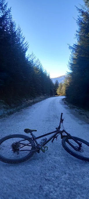 Coed y Brenin 