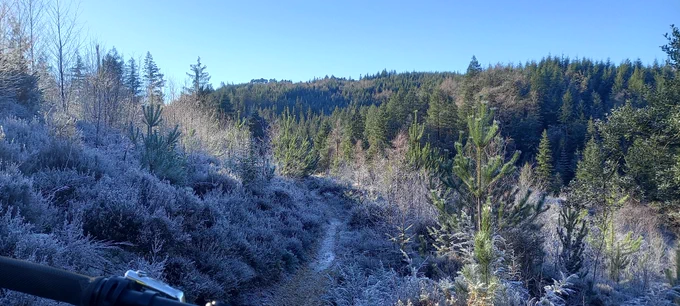 Coed y Brenin 