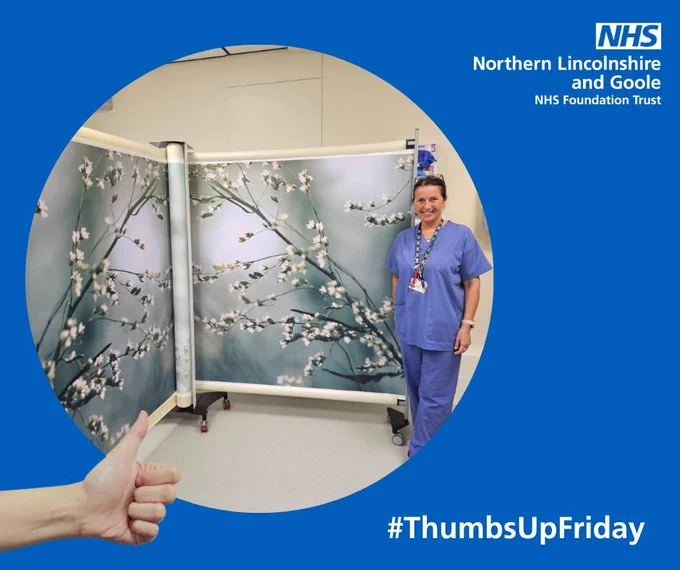 A staff member wearing scrubs, stood next to a dignity screen with flowers on it.