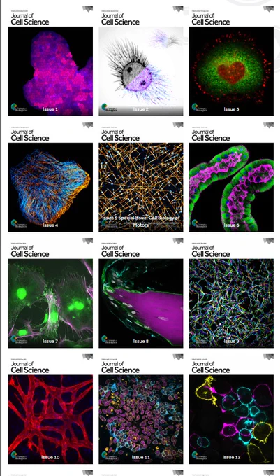 JCS covers, Issues 1-12
