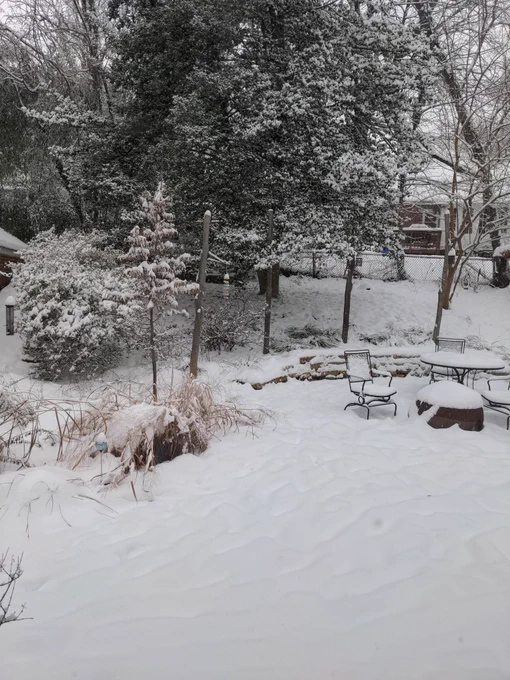 A snowy patio surrounded by snow covered trees