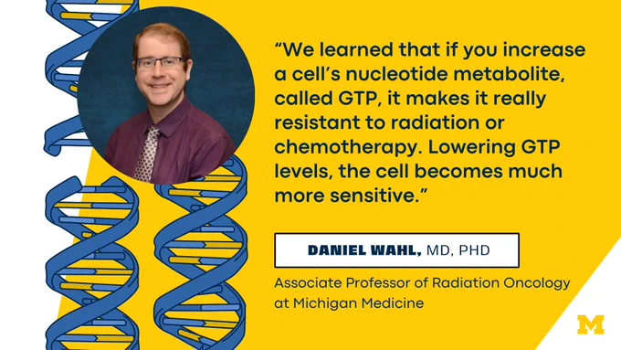“We learned that if you increase a cell’s nucleotide metabolite, called GTP, it makes it really resistant to radiation or chemotherapy. Lowering GTP levels, the cell becomes much more sensitive.” Daniel Wahl, MD, PhD, Associate Professor of Radiation Oncology at Michigan Medicine. 