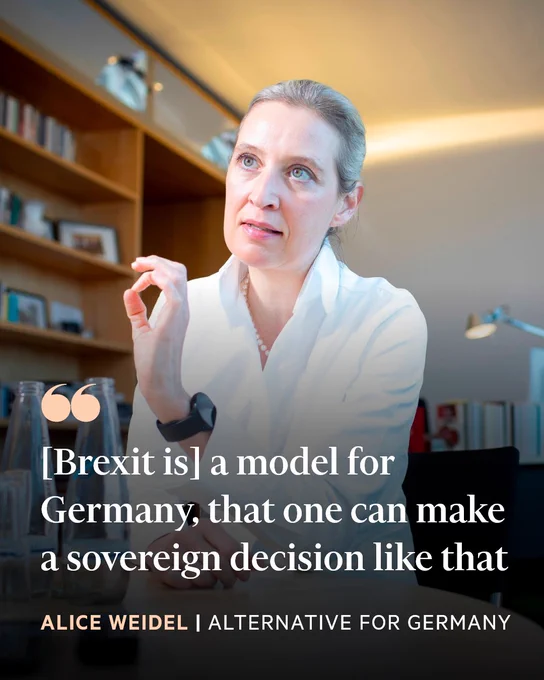 Close-up of Alice Weidel. A quote from her reads: 'We should let the people decide, just as Britain did … we could have a referendum on ‘Dexit’ — a German exit'