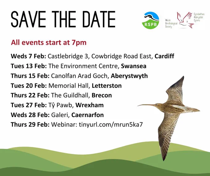 Save the Date poster