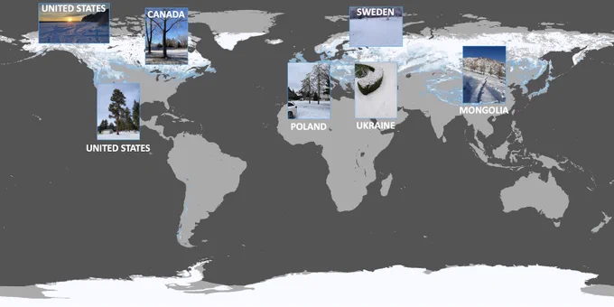 Global map with seven snow images from around the world. The images are from United States, Canada, Poland, Sweden, Ukraine, and Mongolia.