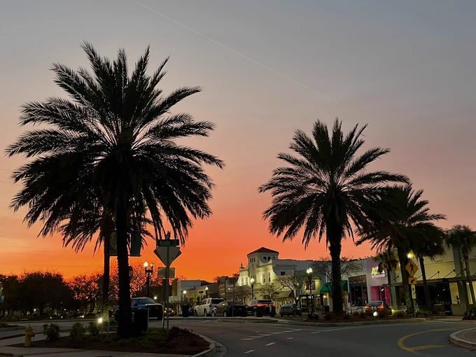 Two palm trees, and San Marcos Square with the sun rising in between