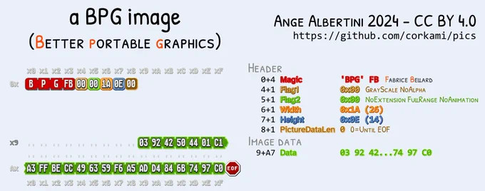 Dissection of a BPG image, showing its BPG \xFB magic, then mostly unused Flags (making the header very compact), then VarInt Width and Height, then compressed image data (using intra-frame encoding of High Efficiency Video Coding).
