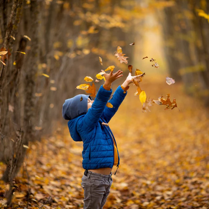 A picture of a young boy in a blue coat in the woods throwing leaves