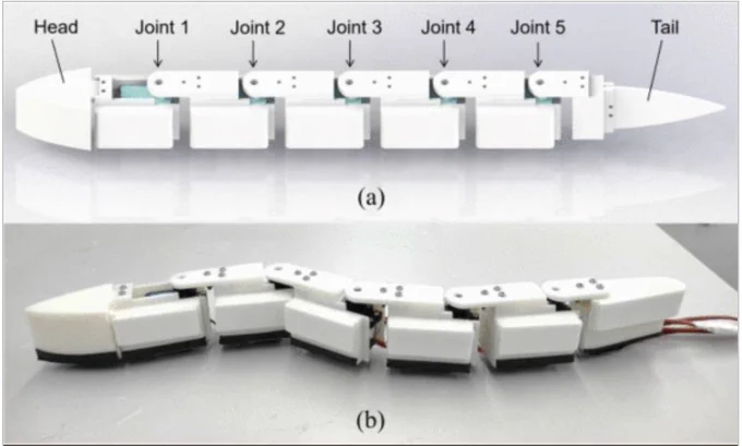 Multijoint robotic fish. (a) Computer-aided design (CAD) model. (b) Prototype.