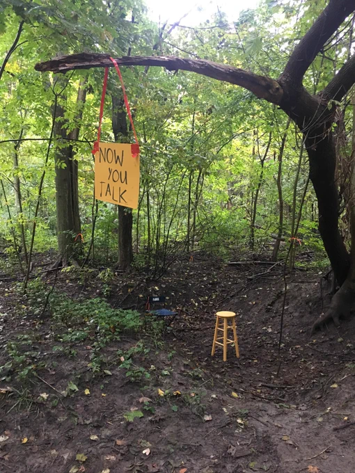 a forest with a tree right of the frame. it is hung with a DIY sign that reads "now you talk." under the tree, two stools and a microphone are set up.