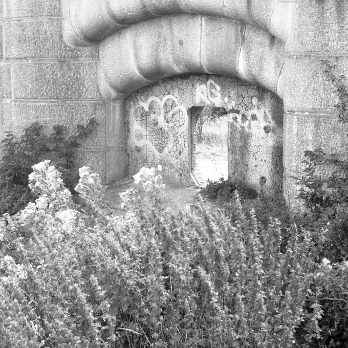 A black-and-white photo of an abandoned and overgrown concrete structure that looks like it might have been used by the military. 