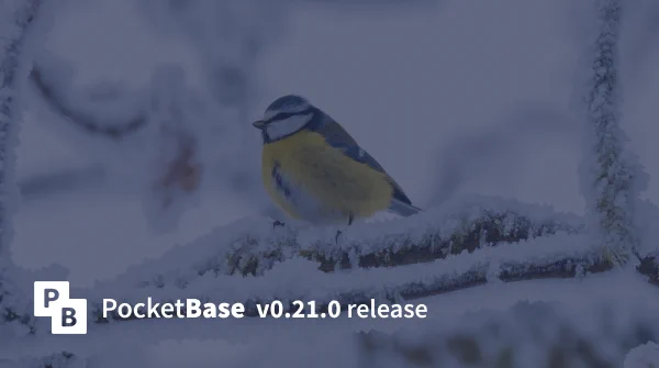 PocketBase v0.21.0 release banner with an  Eurasian blue tit resting on a snowy branch in the background