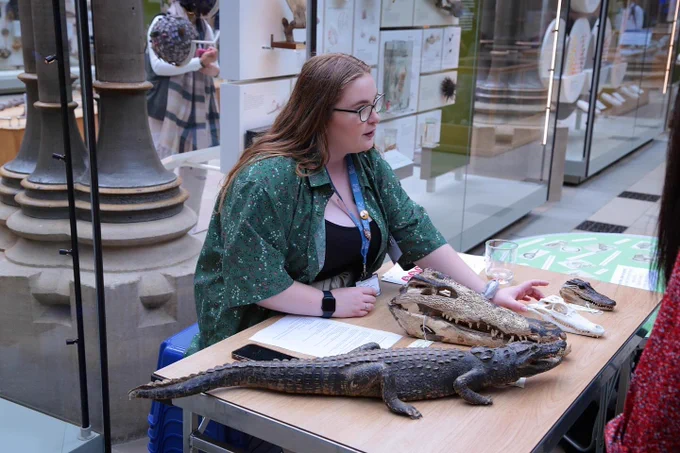 An intern from 2023 conducting an educational activity in the main court with a variety of crocodilian specimens