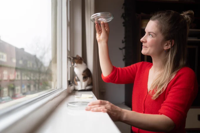 A research scientists holding up a petri dish, as part of an ongoing study on micro- and nanoplastics exposure in the household