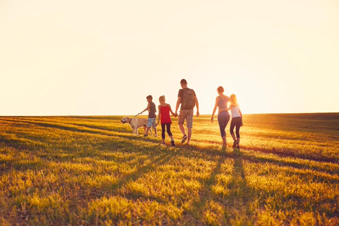 Summertime in the countryside. Silhouettes of a family with dog walking in a field during sunset.