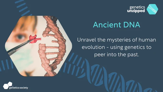 Ancient DNA - Unravel the mysteries of human evolution - using genetics to peer into the past