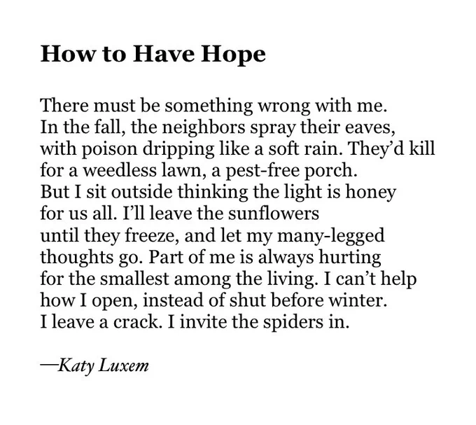 How to Have Hope

There must be something wrong with me.
In the fall, the neighbors spray their eaves,
with poison dripping like a soft rain. They’d kill
for a weedless lawn, a pest-free porch. 
But I sit outside thinking the light is honey
for us all. I’ll leave the sunflowers 
until they freeze, and let my many-legged 
thoughts go. Part of me is always hurting
for the smallest among the living. I can’t help
how I open, instead of shut before winter. 
I leave a crack. I invite the spiders in.

—Katy Luxem