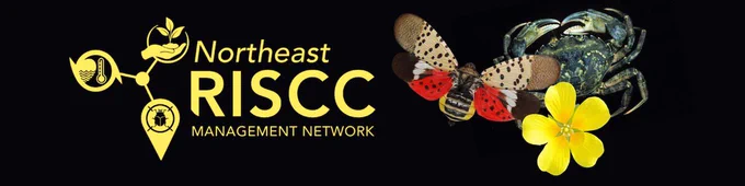 Northeast RISCC Management Network in yellow font with the tri-symbol of a hand holding a plant, a beetle, and a symbol of waves with a thermometer to represent climate change. On the right, a set of three overlapping images: a green crab, a yellow flower, and a spotted lantern fly
