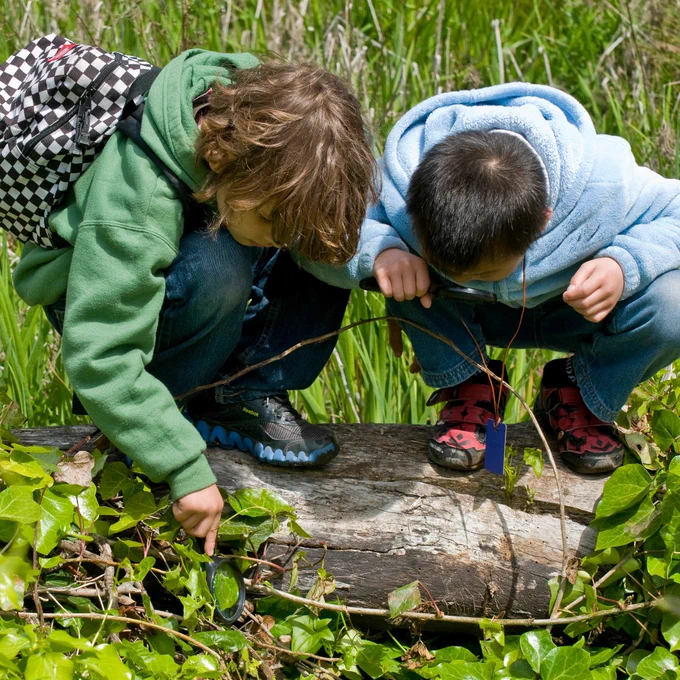 Two children squat on a log examining plants in a marsh.