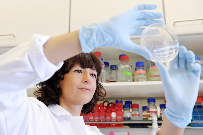 Emmanuelle Charpentier looking at a Petri dish
