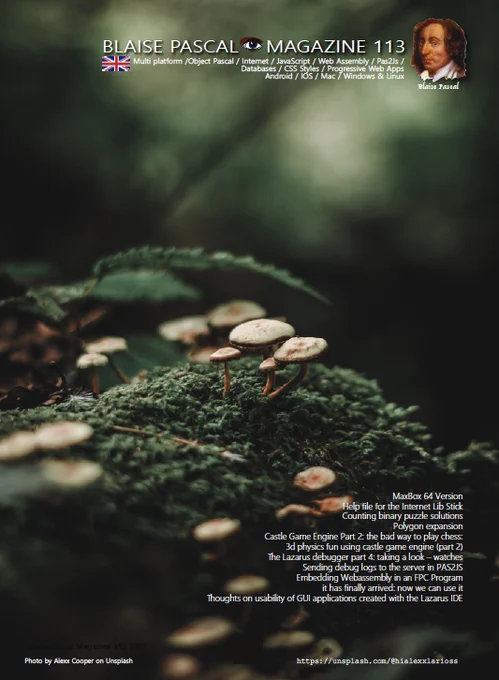 Cover of issue #113 of the Blaise Pascal Magazine