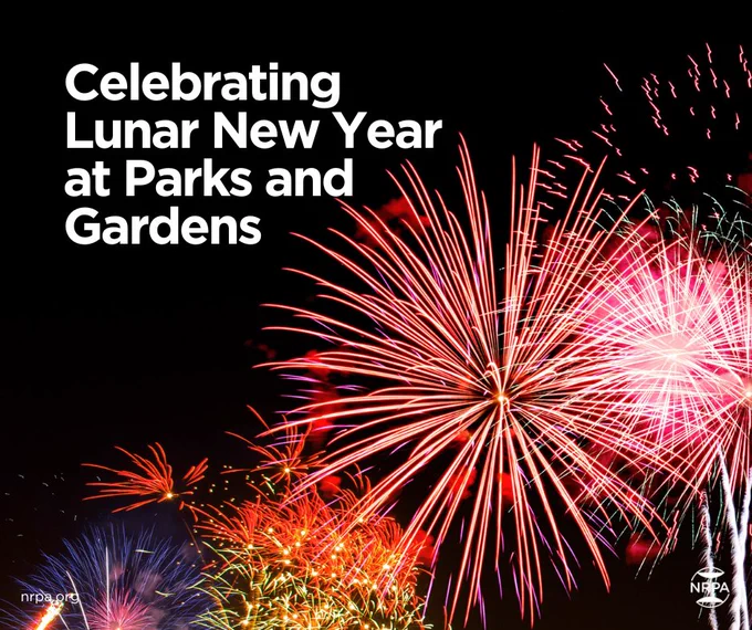 Image of fireworks in the night sky during a Lunar New Year celebration. 