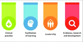 Image of four pillars of practice - Clinical Practice, Facilitation of Learning, Leadership, and Evidence, Desearch and Development