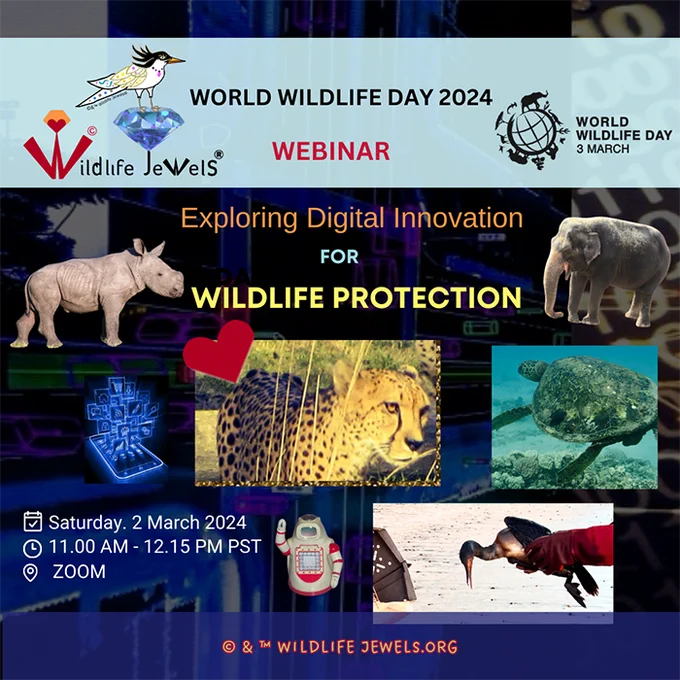 ©Wildlife Jewels® UN World Wildlife Day Webinar: Exploring Digital Innovation for Wildlife Protection
