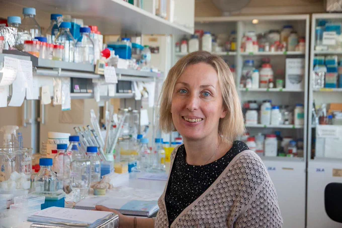 Cristina Crava, investigadora Ramón y Cajal del grup BIOTECMED de la Universitat de València. / Foto: Lautaro Iglesias