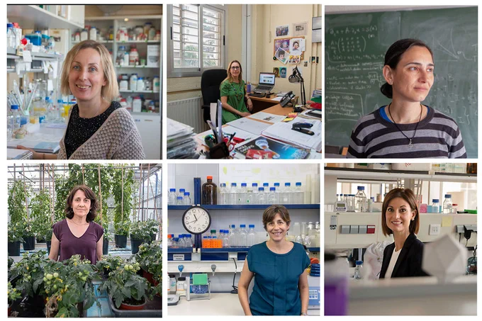D'esquerra a dreta començant per dalt, Cristina Crava, Pas García, Isabel Cordero, Concha Gómez Mena, Glòria Sánchez i Pilar Domingo-Calap