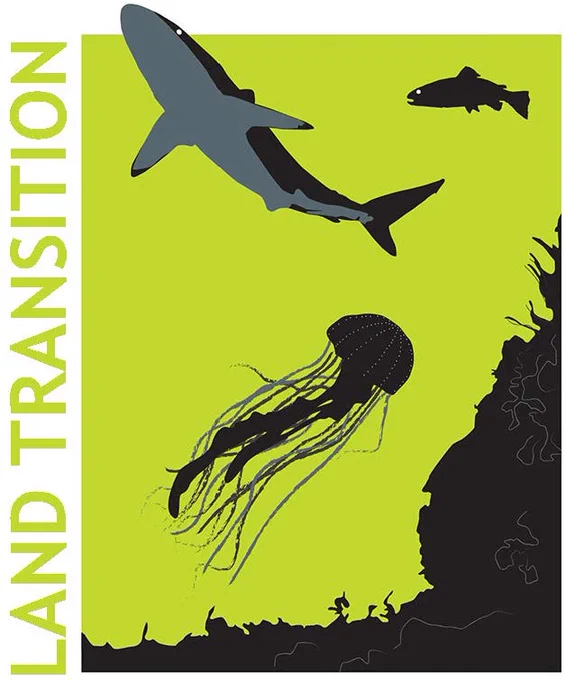The 'aquatic life' Outside JEB icon, showing various species, including shark, jellyfish and salmon, with the banner 'Land Transition' along the left side.