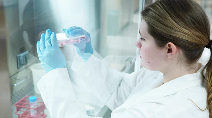 Marie Johns, wearing her lab coat and gloves, looks at a samples she is holding inside a biosafety cabinet.