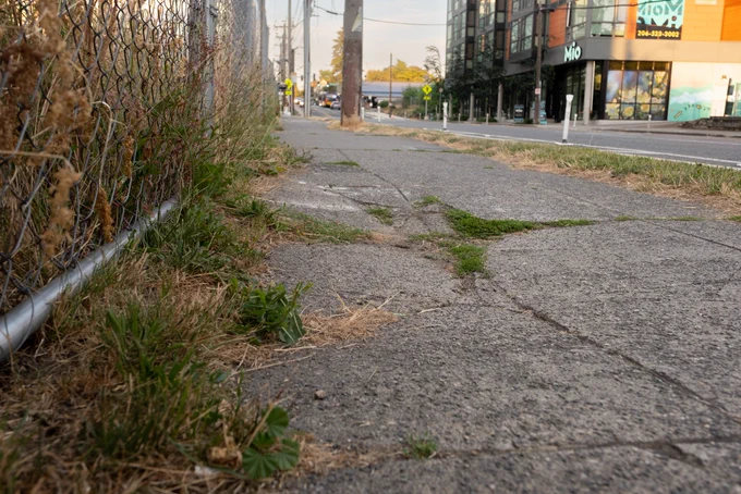 Broken sidewalk with cracks and overgrown weeds