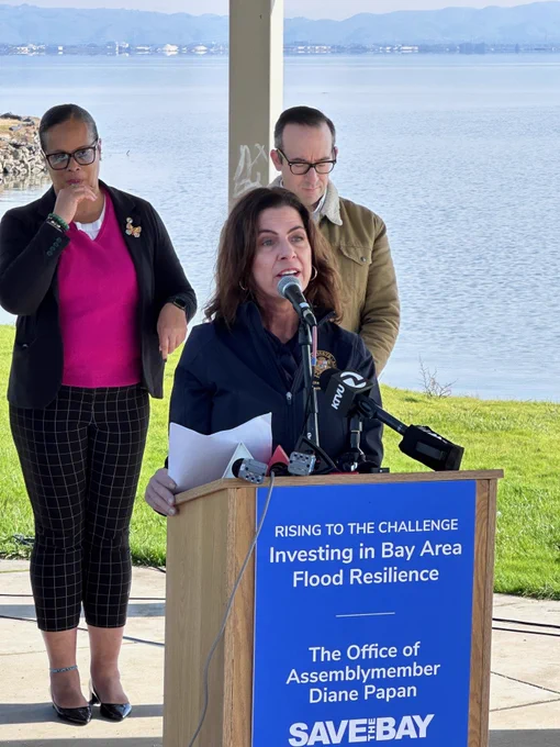 Assemblymember Diane Papan speaking at press conference.