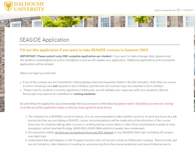 Screenshot of the first page of the Summer 2024 SEASIDE application.