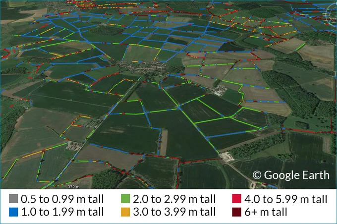 Hedgerow map overlaid on Google Earth to show hedge height