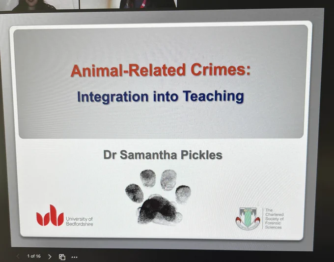 A PowerPoint title slide