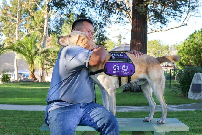 In this photo, a yellow Lab hugs his handler.