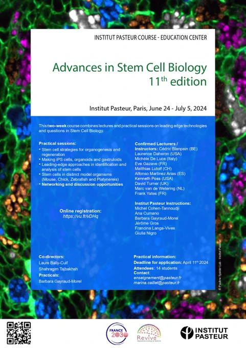 "This course is for researchers and doctoral candidates with lab experience in cell and developmental biology. It explores stem cell strategies in organogenesis and regeneration across organisms. Practical sessions include cutting-edge techniques. Lectures by experts using innovative technologies. Networking opportunities provided. 
For more info, enroll in the free online course 'Advances in Stem Cell Biology': https://www.fun-mooc.fr/courses/course-v1:pasteur 96016 session01/about"