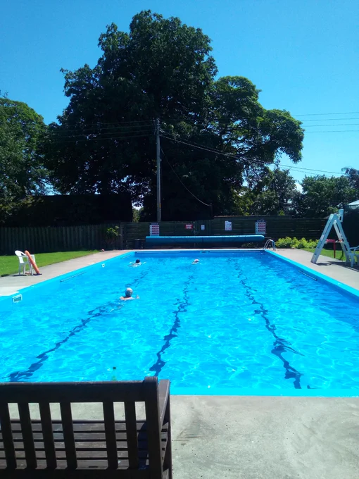 A head-on shot of a bright blue pool, glimmering in the sunshine. At the end of the pool is a large green tree, set against the blue sky.