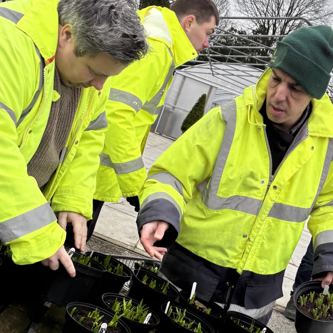 A picture of our students putting spring bulbs out for sale on a sales bench.