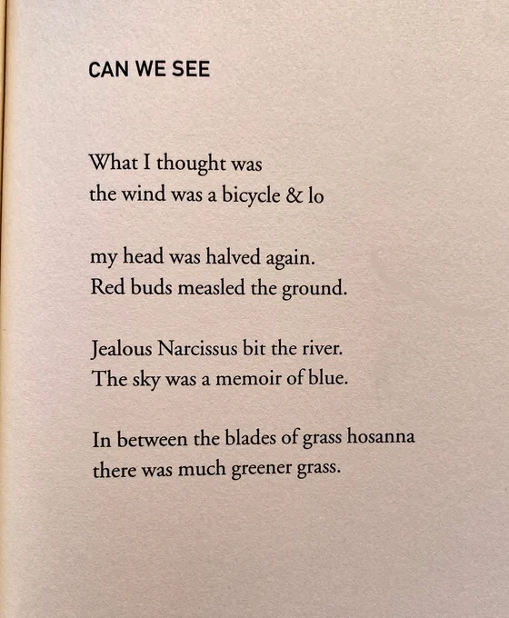 CAN WE SEE by Matthea Harvey

What I thought was
the wind was a bicycle & lo

my head was halved again.
Red buds measled the ground.

Jealous Narcissus bit the river.
The sky was a memoir of blue.

In between the blades of grass hosanna
there was much greener grass.