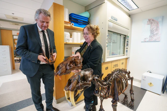 Chancellor Diermeier talks with Larisa DeSantis about big cat teeth.