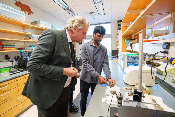 Chancellor Diermeier (left) looking at tooth striations with undergraduate student Adi Kurre. 