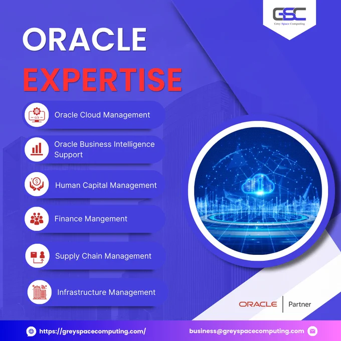 Oracle Expertise in Grey Space Computing