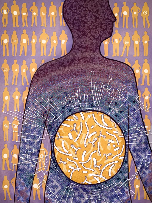 Bacteria and bacteriophage consortia are associated with protective intestinal metabolites in patients receiving stem cell transplantation.
Image by Dr. Johannes Richers (Jo Richers Studio)