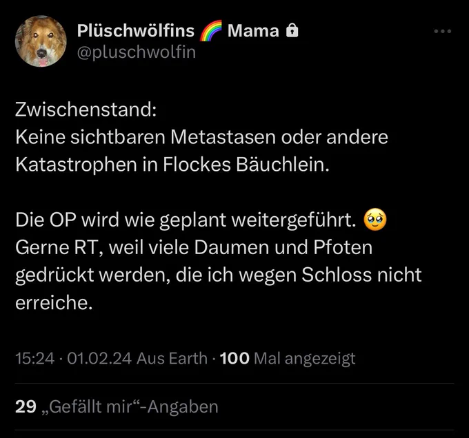 Screenshot Tweet von @pluschwolfin. „Zwischenstand:
Keine sichtbaren Metastasen oder andere Katastrophen in Flockes Bäuchlein. Die OP wird wie geplant weiterführt. Trauriger Smilry. Gerne RT, Weil viele Daumen und Pfoten gedrückt werden, die ich wegen Schloss nicht erreiche.“