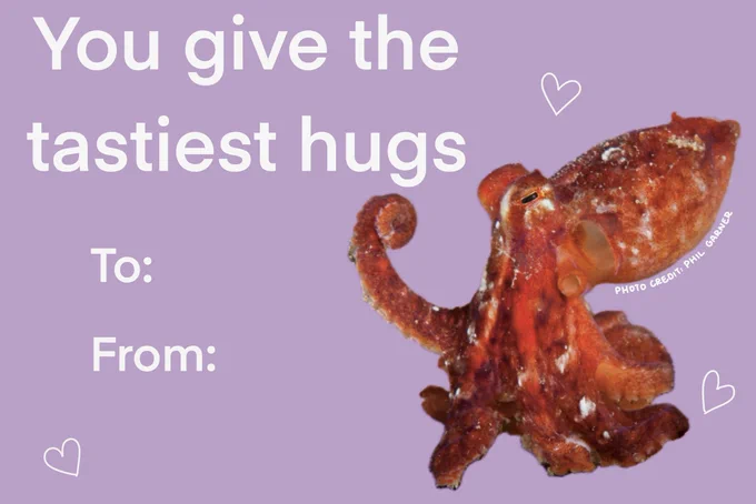 A pale purple card with the words “you give the tastiest hugs” and “to:” and “from:” in white next to a ruby octopus